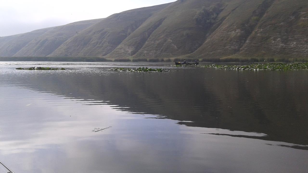 somova  - 201509201014521.jpg